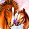星空无限传媒官网免费版