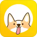 鹅直播